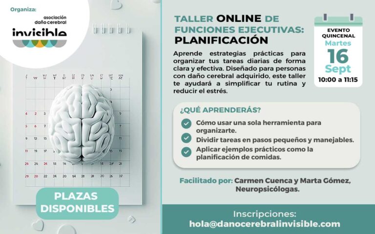 Nuevo Taller Online de Funciones Ejecutivas: Planificación